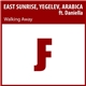 East Sunrise, Yegelev, Arabica Ft. Daniella - Walking Away