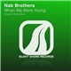 Nab Brothers - When We Were Young