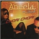 Aneela Feat. Arash - Chori Chori