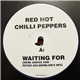 Red Hot Chilli Peppers - Waiting For