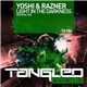 Yoshi & Razner - Light In The Darkness
